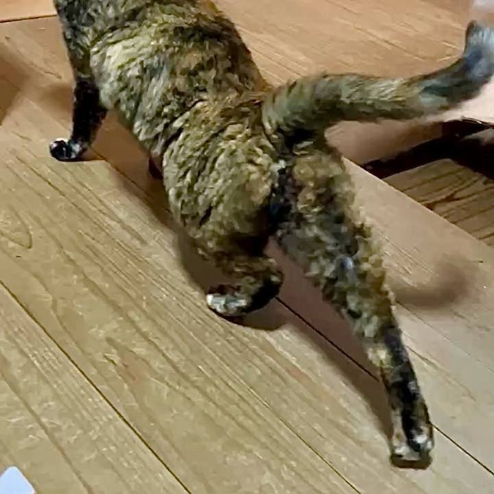 A1de7f33 cb2f 425f 8451 d73130518231 1743215625436