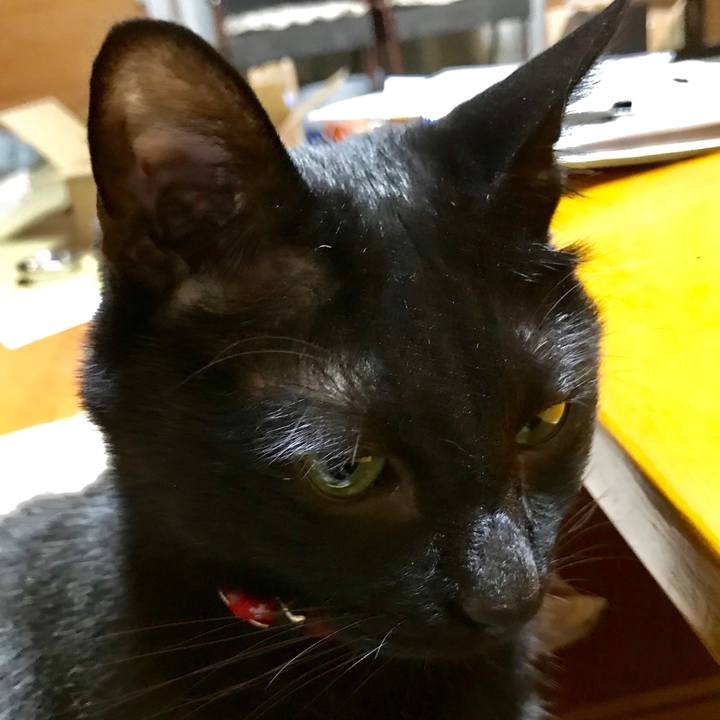 A1deb30d eb7d 4f6b 846b c64df10cb83b 1527333412453