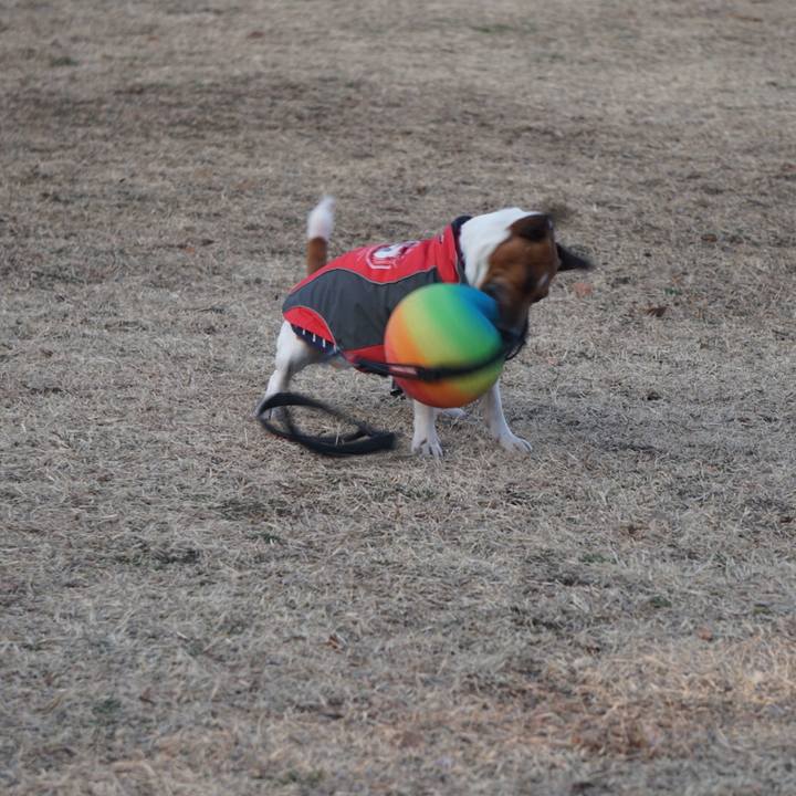 A1dec09f 31f5 42d7 8a48 ebef1bdd9028 1518996020780