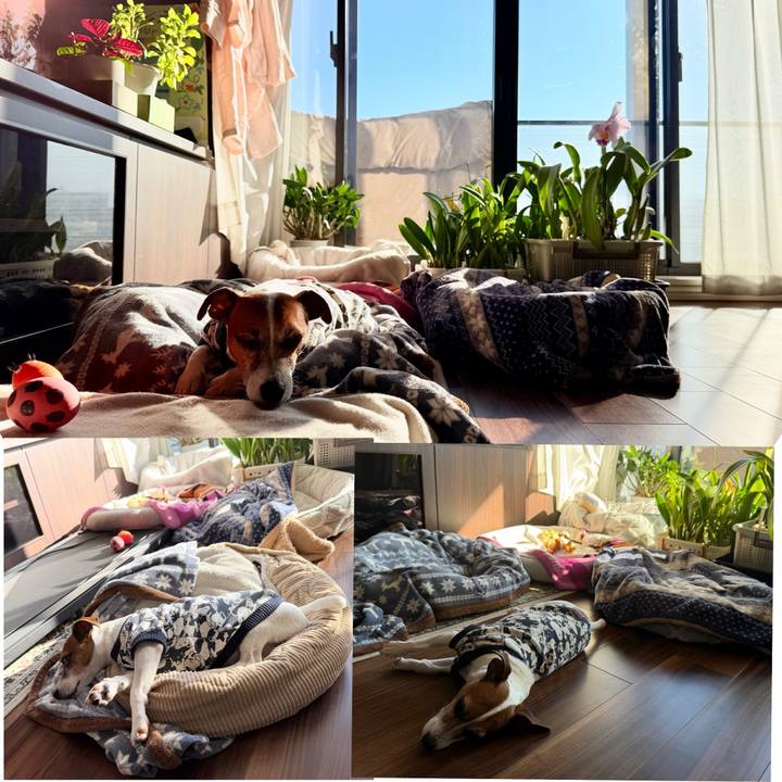 A1df00ab f53c 4433 a948 d8b87b5ee330 1770174589560