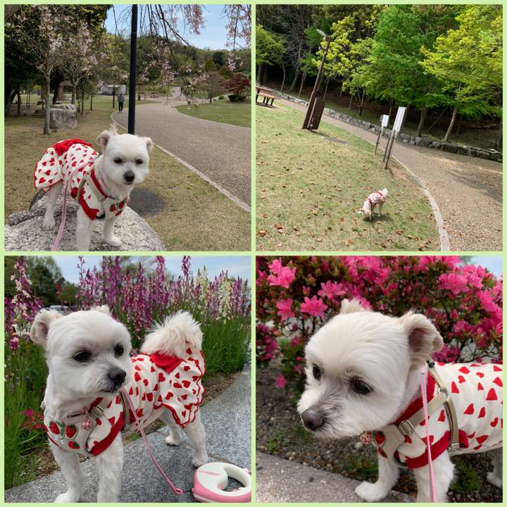 A1df29cf ed1d 400f a4a7 f94281114d3b 1617860622938