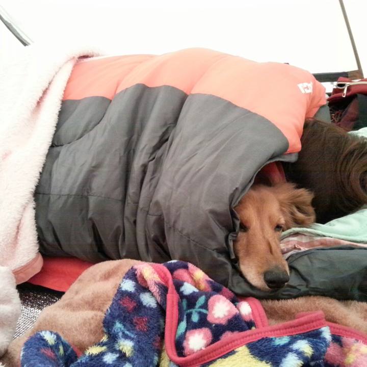 A1df4934 197a 4b99 8b8a 24d5f882bb58 1557232743347