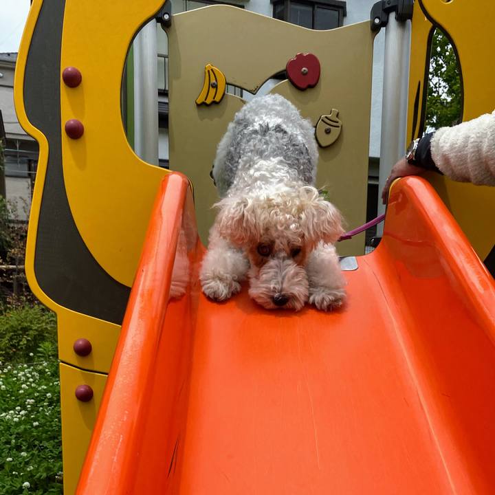 A1df8236 abdf 4552 8099 60f2649021f8 1588996413205