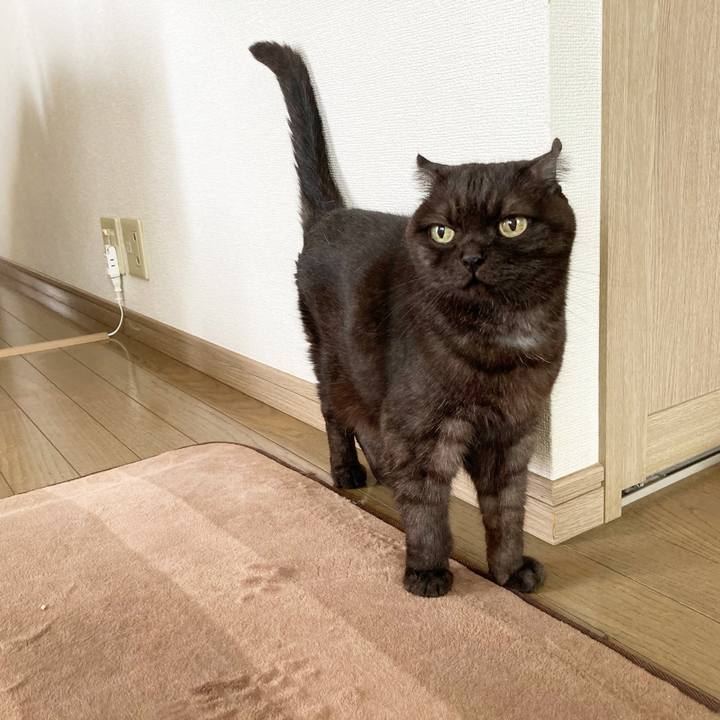 A1dfcb93 f2cc 47f9 8fec 6d41795680b9 1595814124684