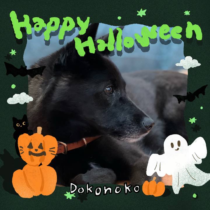 A1dfe945 aa2c 48cc 9ebc 6de6763c2c6d 1729300639701