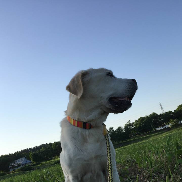 A1dff29c 838f 474a b1f5 eb2ef06961df 1527890749971