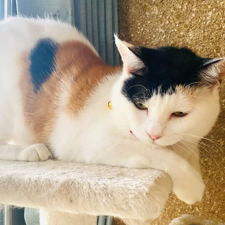 A1e000e8 ac97 46c0 8906 15f30fff7c66 1759577225123