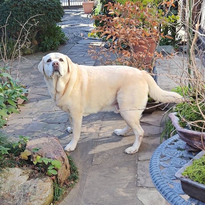 A1e00580 b83b 484f 98a3 b0915f5bc586 1738122653808