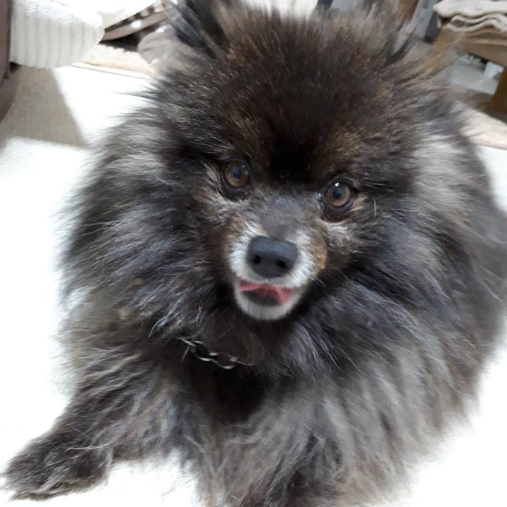 A1e009b6 935f 4bbd ab67 7e39e6b08c04 1519335164859