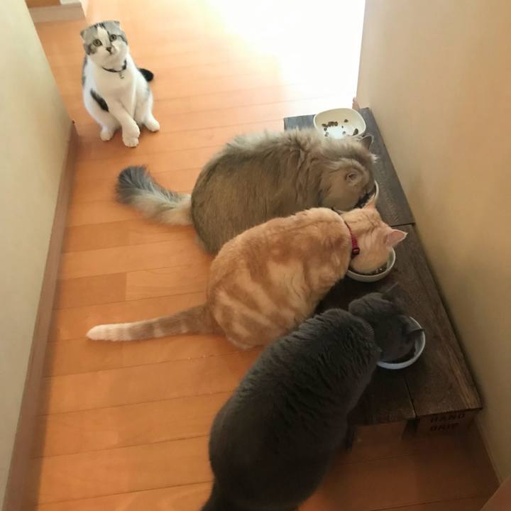 A1e00e98 41c0 41d9 8592 36f8dc8dbd34 1652151682604