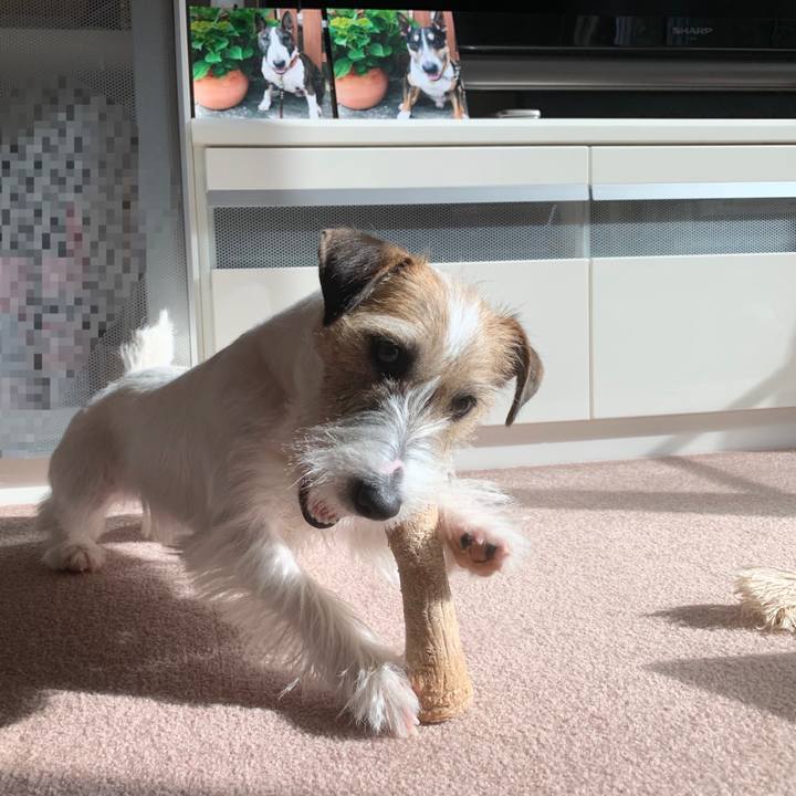 A1e02253 d67b 4753 ae66 fd356fb8e6b7 1579841523341