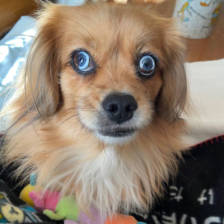 A1e03f07 d3b2 4631 9fd0 3a62e5fdc40b 1638663324910