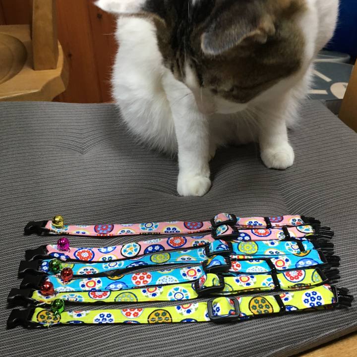 A1e04924 e993 4e81 946b 8db62f243246 1516787403723