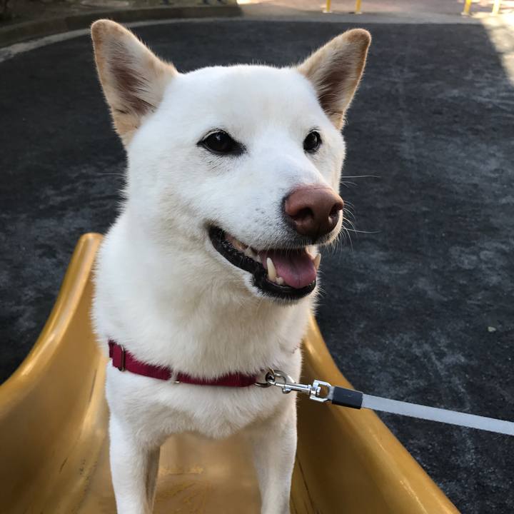 A1e05357 d513 435b 88dd f739f57b6b21 1515540980072