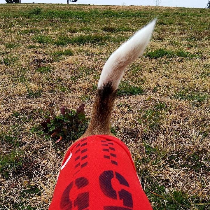 A1e053dc 9ef3 40ba 99d2 2d9c204455c3 1582950139241