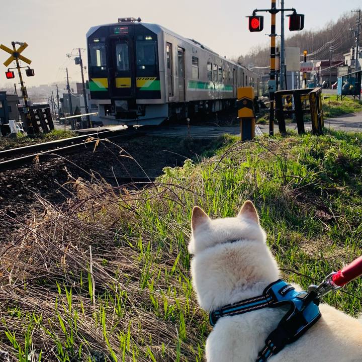 A1e06eaa c880 4cf0 97f2 630950c5eff0 1681425491772