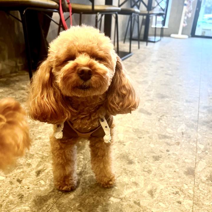 A1e07b16 0106 4baf 934d 92660ff200bb 1761098258970