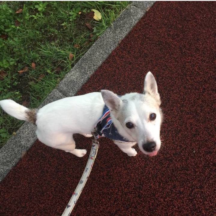 A1e08051 2f93 4574 ac94 3369f9afff07 1759965520561