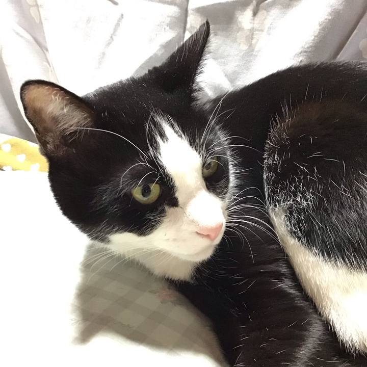 A1e093f8 1e73 42d3 ac72 84f15221c594 1732532132725