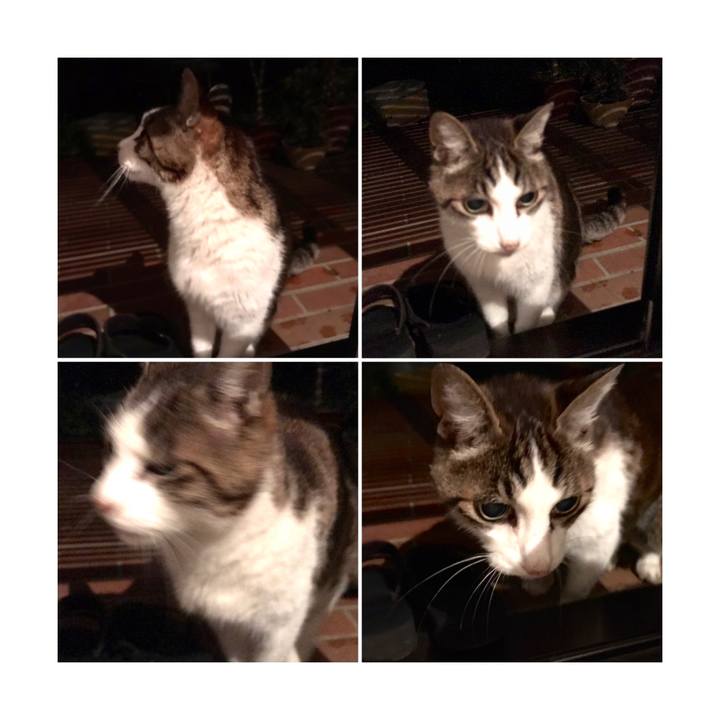 A1e09bcd 8f4e 4724 86da 53b7f00f9893 1624147347954