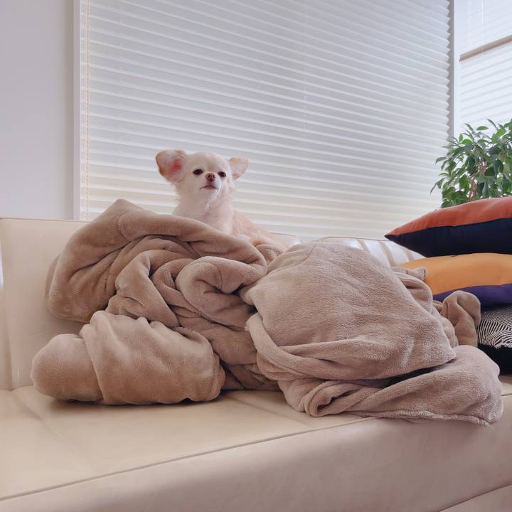 A1e0abb7 c3e2 47b8 bd25 ec302f88fd62 1761462616395