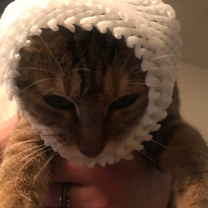 A1e0aebd 7395 4ede 8b19 7c275adb37e2 1577623207487