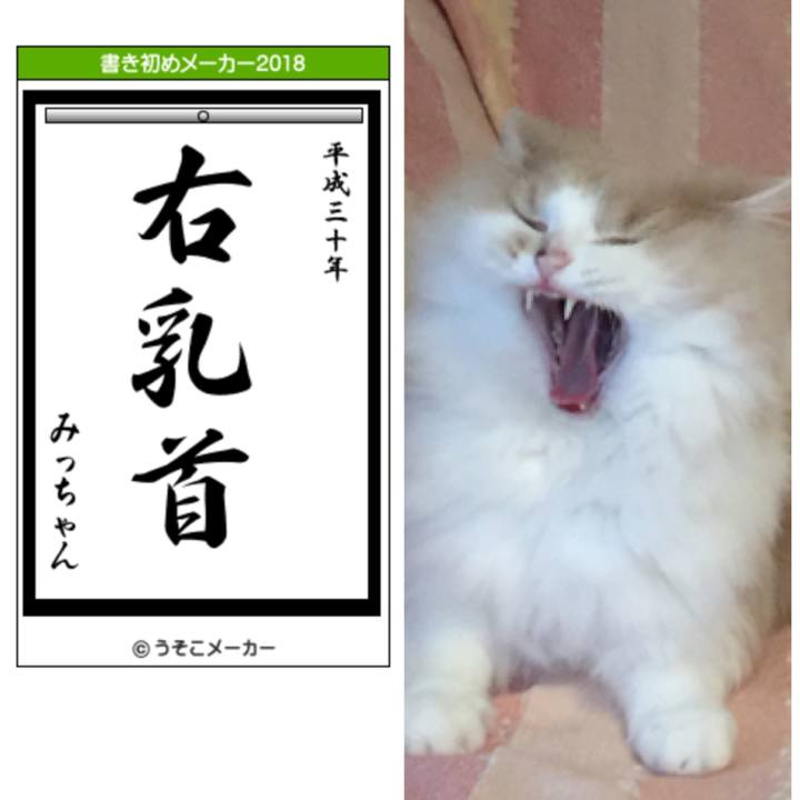 A1e0b49b 6e7b 48d4 bdfc a53fd0427930 1515062016327