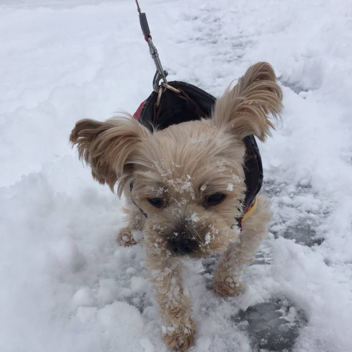 A1e0cd9f 0b2c 4240 be2c 590981fcffd7 1544141341162