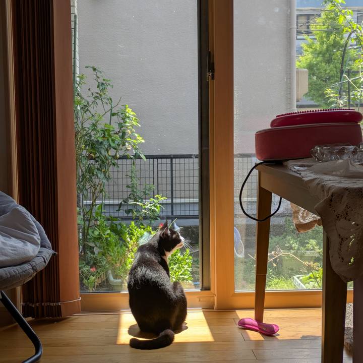 A1e0ed63 6d97 4877 beea 3f13f3bba34a 1754535157556