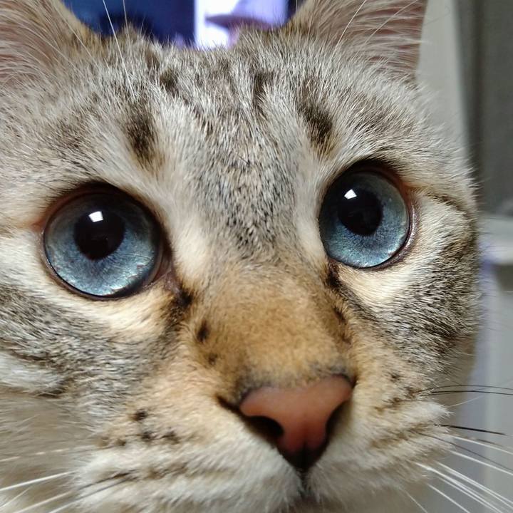 A1e1405c 53b2 48c7 b498 e7b02a7f296c 1672139587347