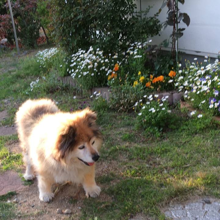 A1e143d4 4243 4fe1 aa50 4540e0c64812 1577330565659