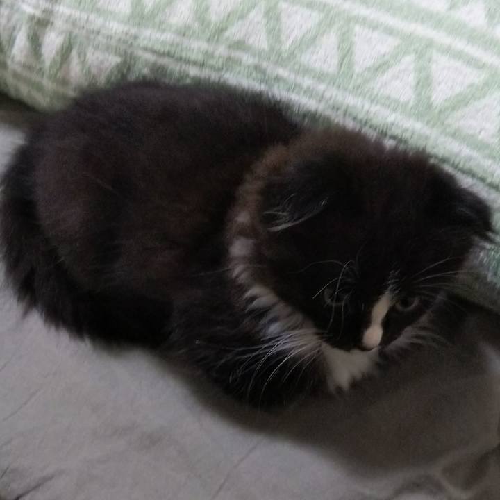 A1e15aa6 b73f 48e5 ba2c 33cb9c2532dd 1638795491505