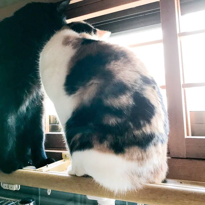 A1e17112 af33 4236 a77f 0a8175042524 1518666785734