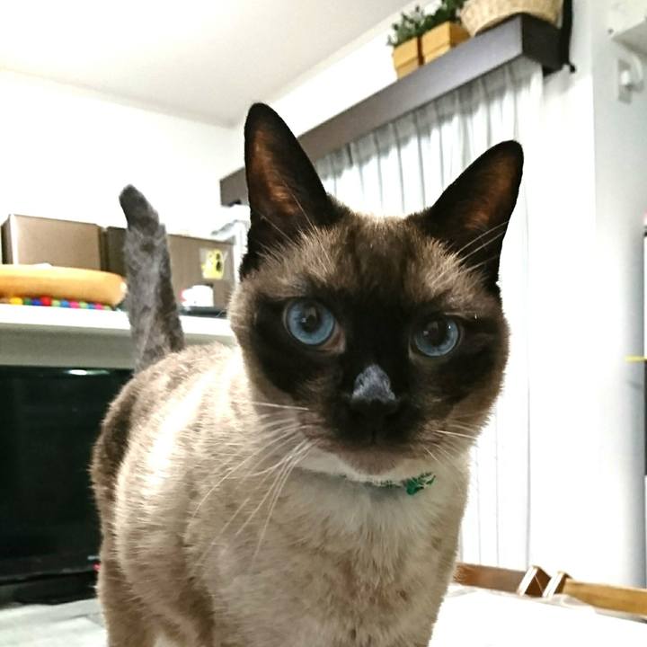 A1e17259 8d53 42c6 b9a9 05685d82f3c8 1531013505665