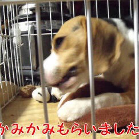 A1e17e9f 957d 4fe9 bfa1 0fa8cb8e3a97 1690157693491