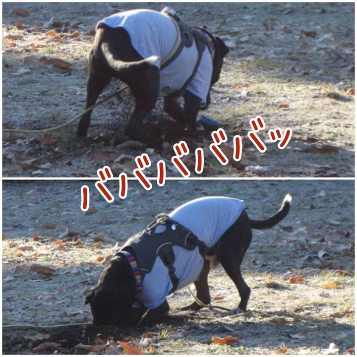 A1e19925 f536 4a75 9074 634158c7f775 1640827254662