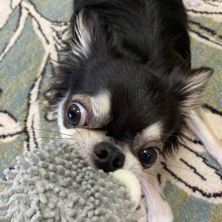 A1e1c83c 3159 4bcd 80a4 783dcf700bb3 1625285961698