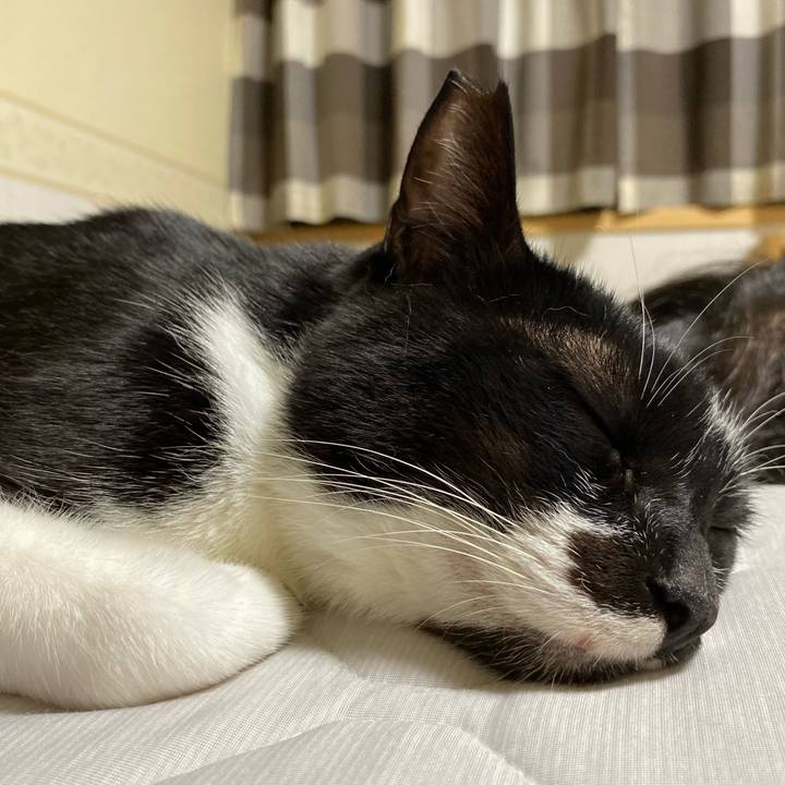 A1e1e5dd 5b7a 42a7 a691 a8edd102c69e 1694809352178