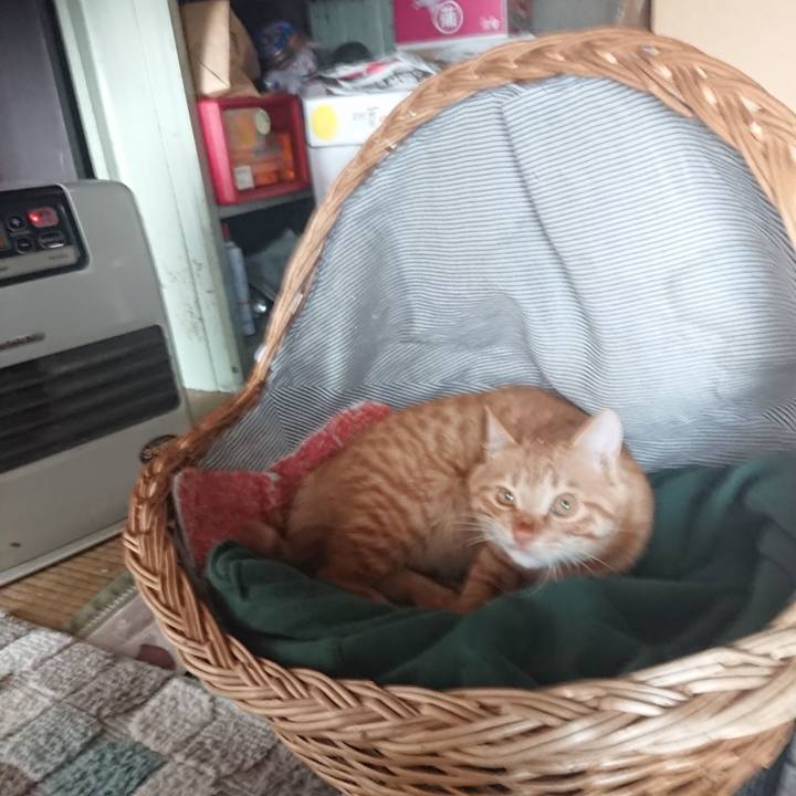 A1e21f51 419a 4cf8 bc79 ee5f78b9218e 1642302670188