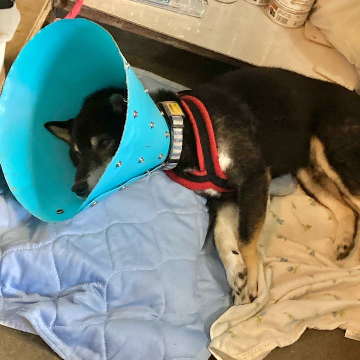 A1e22699 611e 4873 8b4e ca1d770d2851 1627285895689