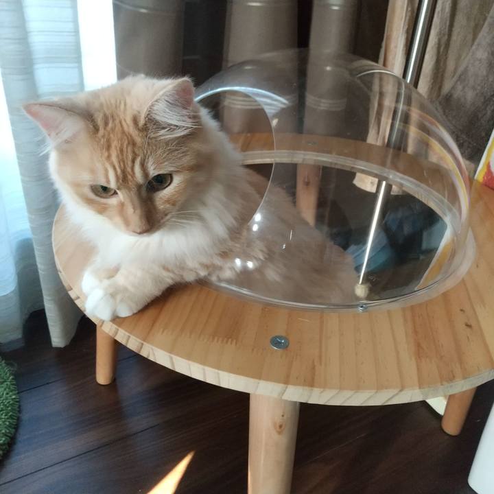 A1e23591 65c2 42d3 820d 2576f56c7838 1623989153846