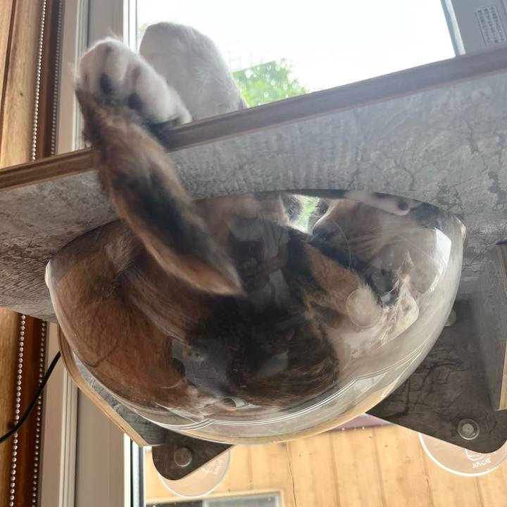 A1e23b2f 2e26 4c72 b846 909ec3d37e2c 1754345540696