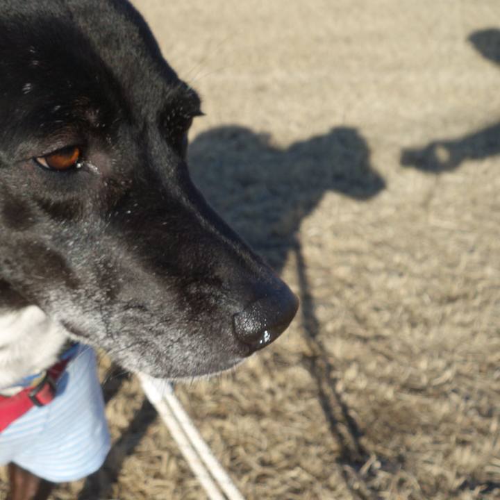 A1e24ad7 a883 4c7b 9bdc 64b7a50e052a 1674956303339