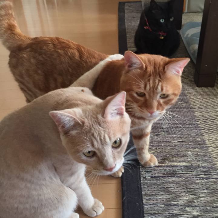 A1e25fc9 67e4 4f25 8940 638f93df58c1 1566132355742