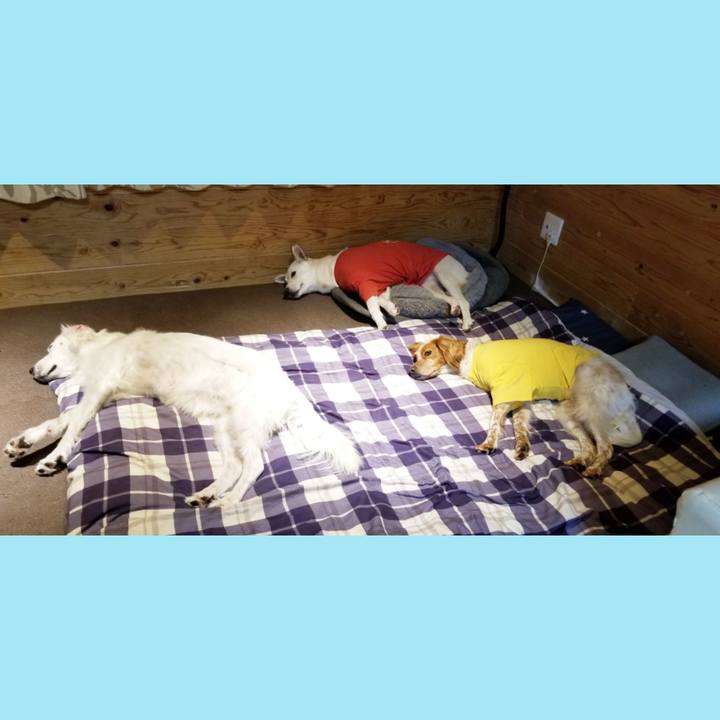 A1e26f42 d89a 43d0 a9aa 3caa2354cbdb 1601992169535