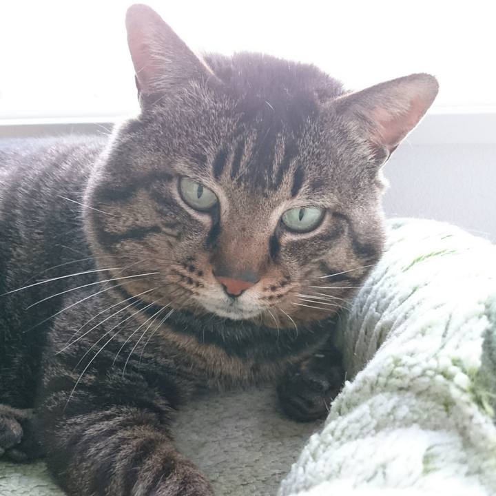 A1e27c32 17d0 41c0 9233 cbc80476836a 1561545257191