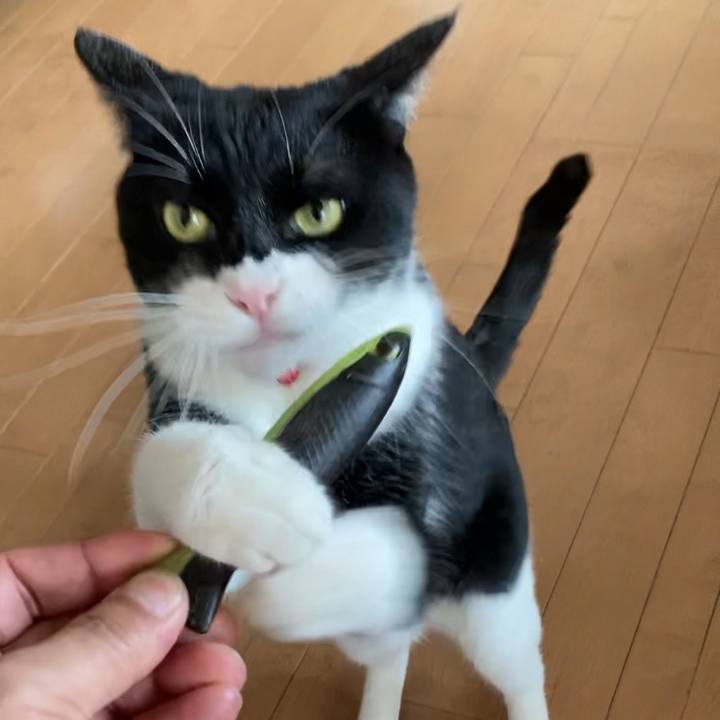 A1e29191 f1a0 4bbb 8e82 2abdcc724be0 1654918421436