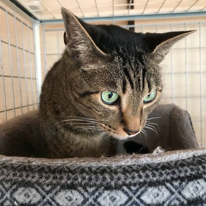 A1e2a38e c749 498a b332 3844127ae1c5 1529113068884