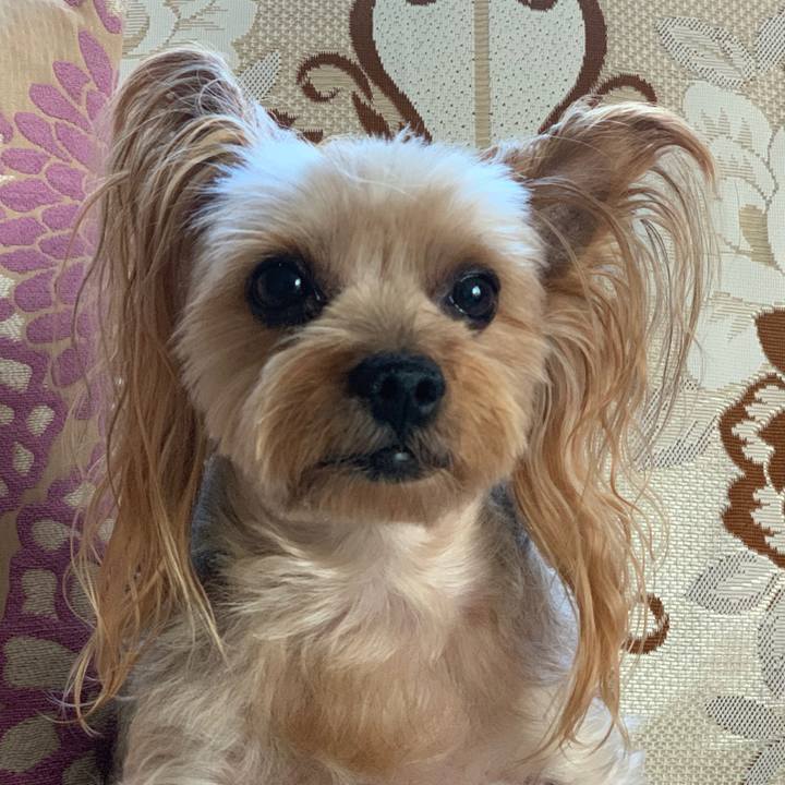 A1e2ae67 e089 4e0c aed6 654f169e062e 1538983791080