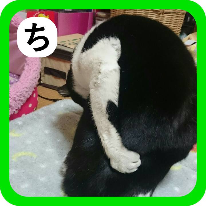 A1e2d3d3 bffb 4548 b3f8 f6a091b6954d 1515155065415